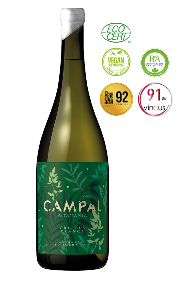 Vino CAMPAL- CRIOLLA BLANCA 2024, Bodega Alpamanta
