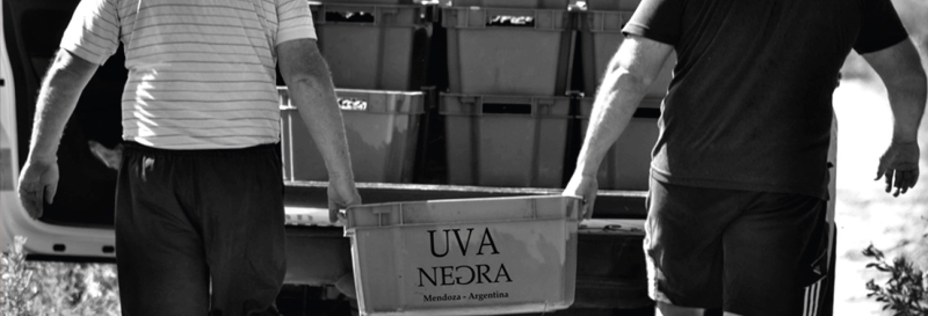 Bodega Uva Negra, Mendoza. Argentina